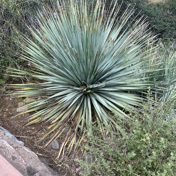 Welcome!  I’m Happy You’re Here! - Picture 2 of 4